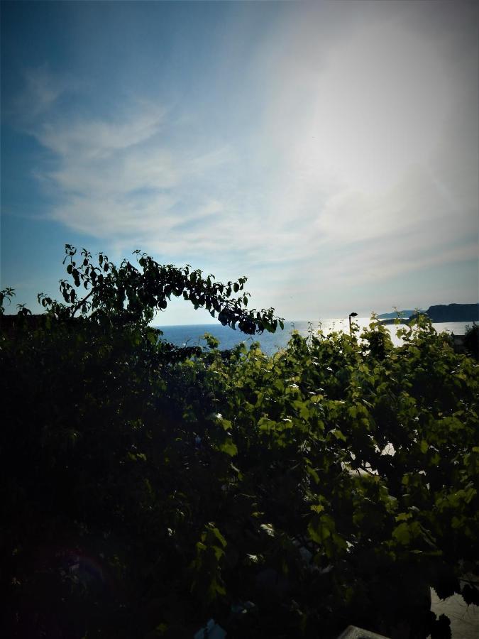 Vila Teodora Sveti Stefan Ngoại thất bức ảnh